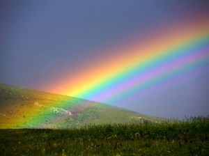 rainbow-2-537x402